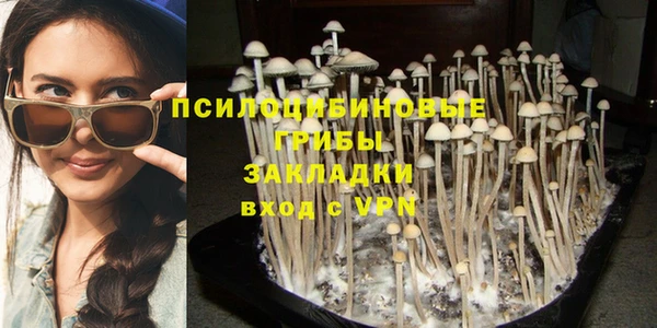 кокаин перу Касимов