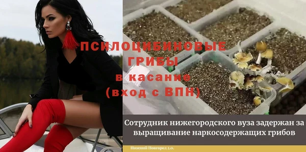 COCAINE Карпинск