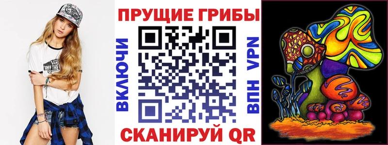 Купить закладки  Сясьстрой  Галлюциногенные грибы GOLDEN TEACHER 